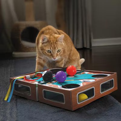 Kong Playground Pool Table