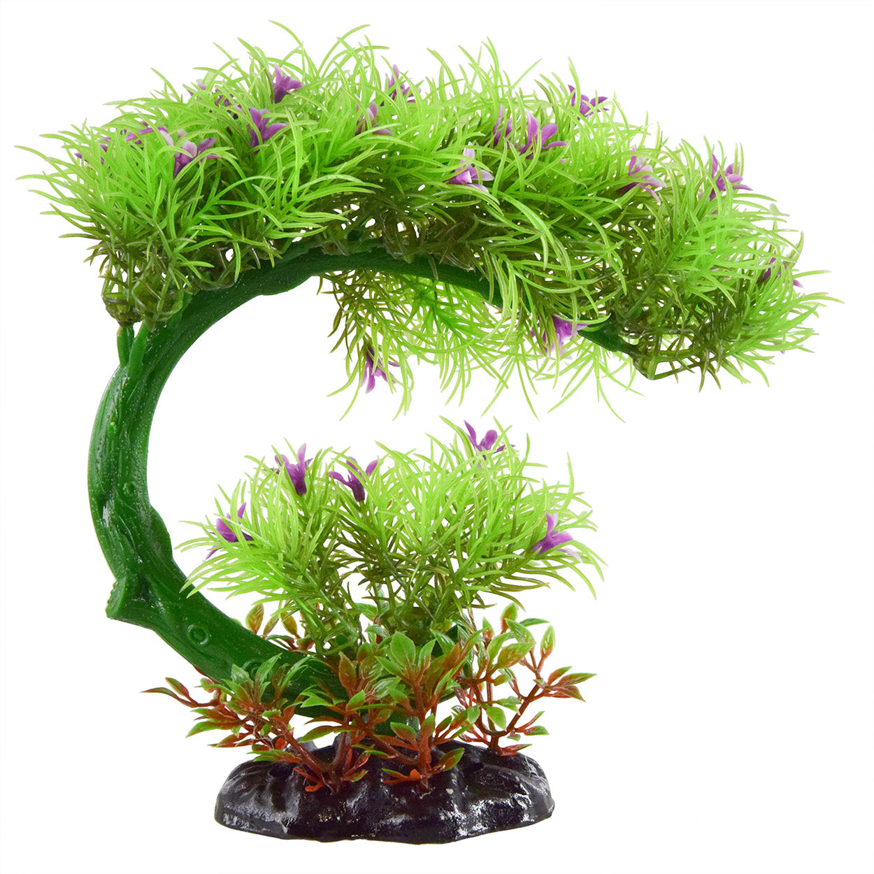 UT Flowering Bonsai