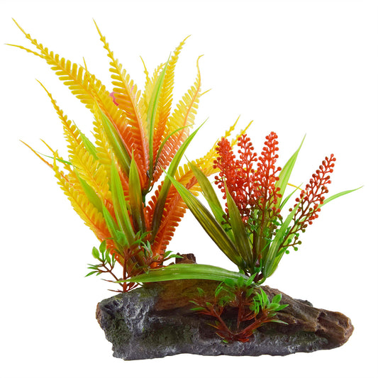 UT Fern on Root