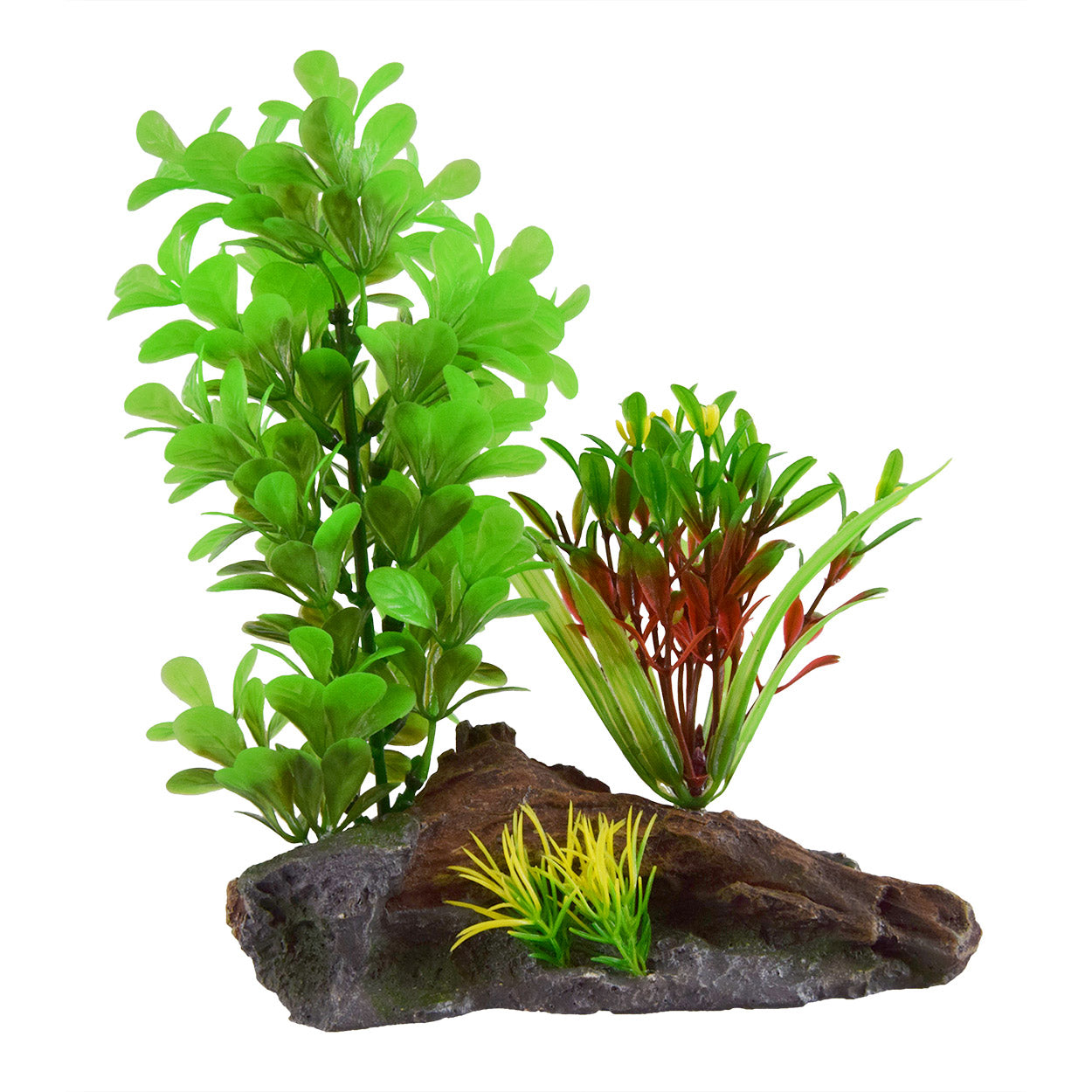 UT Green Ludwigia on Wood