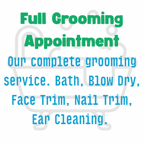 Full Grooming Appointment