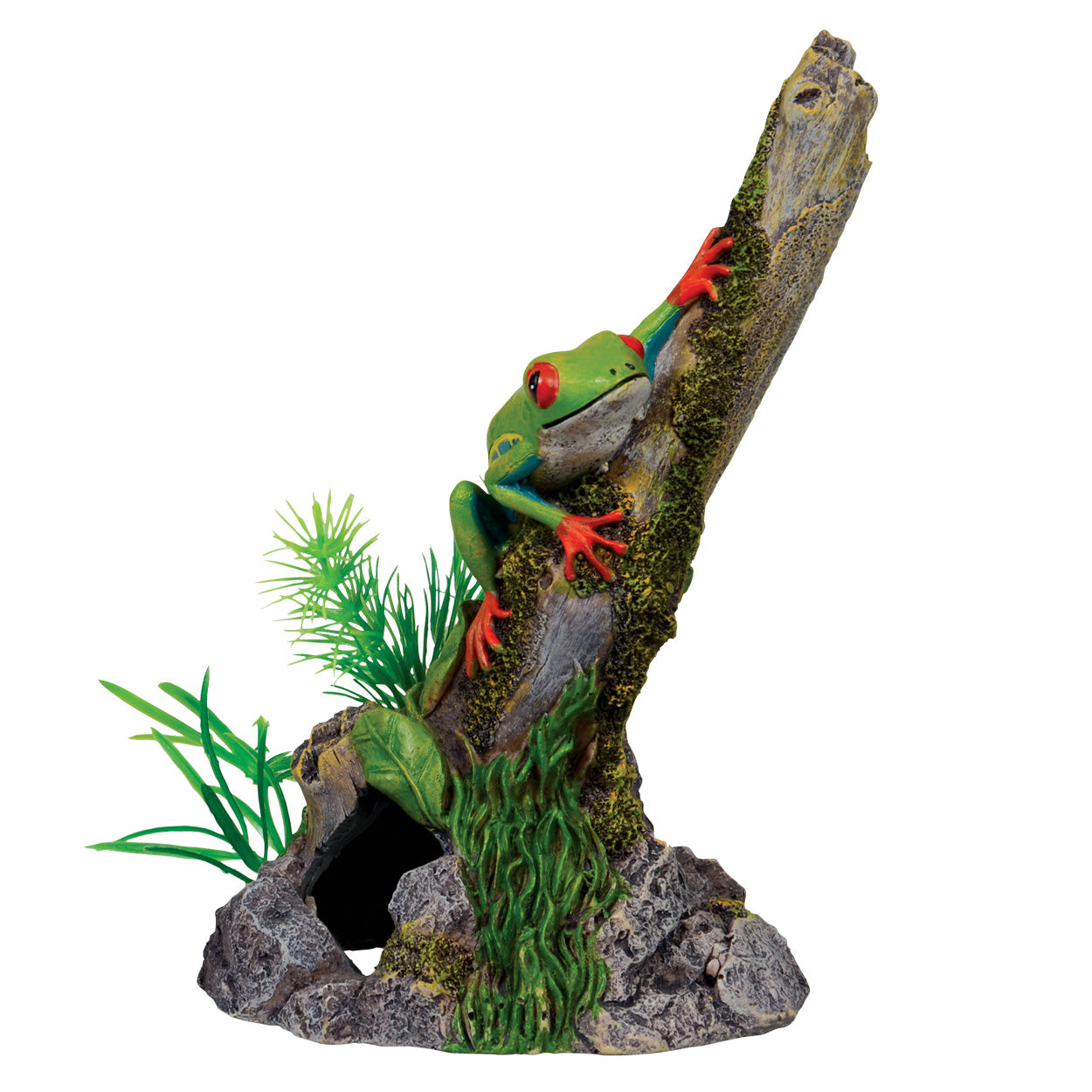 UT Tree Frog on Stump