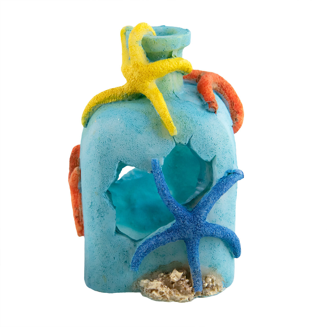UT Starfish on a Bottle