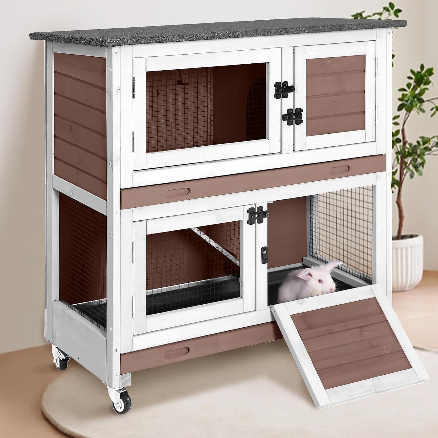 Rabbit Hutch
