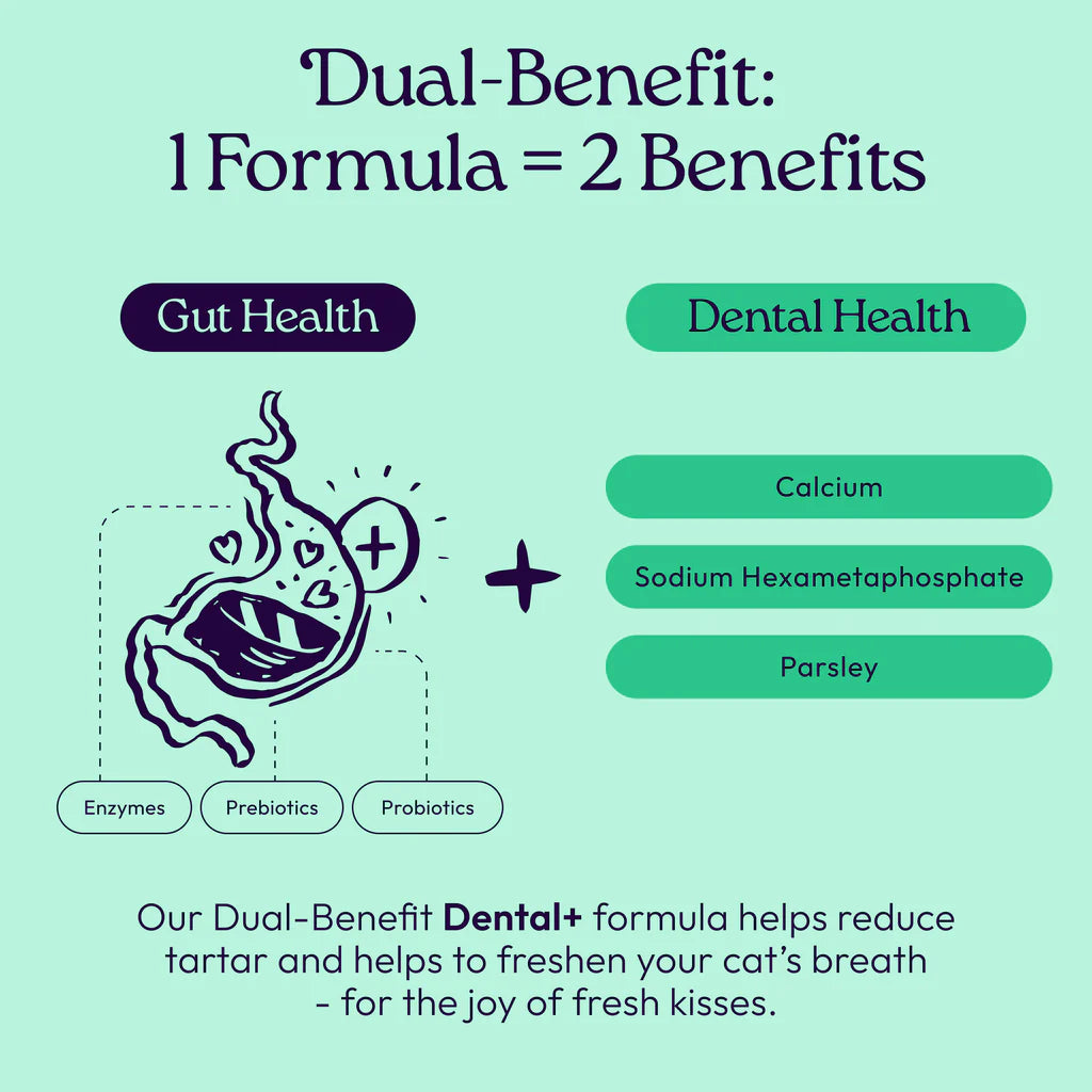 Welljoy Dental + Gutboost Cat Treat