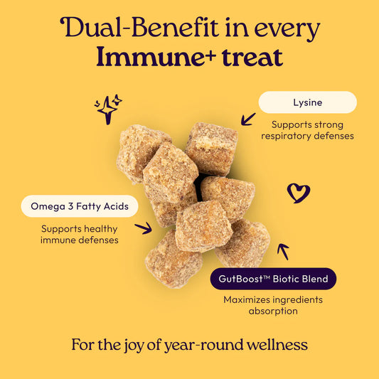 Welljoy Immune + Gutboost Cat Treat