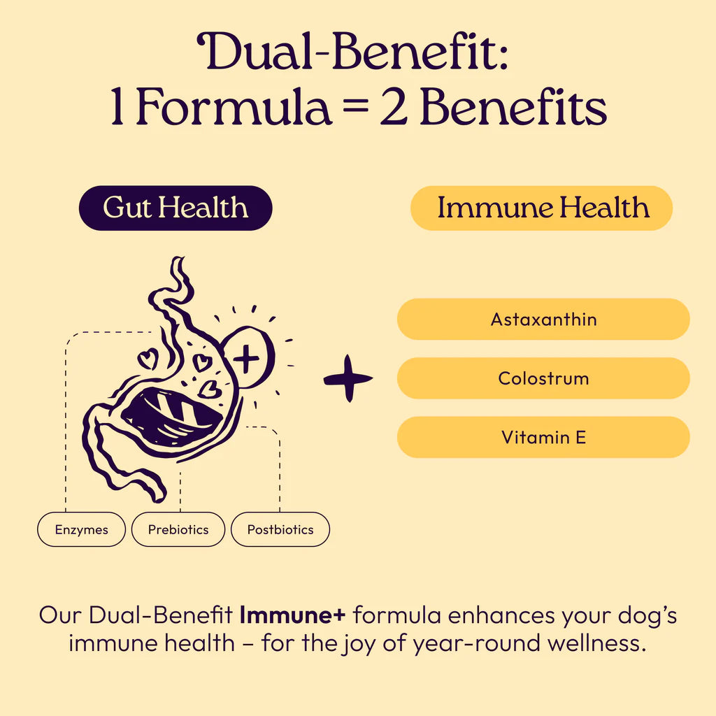 Welljoy Immune + Gutboost Dog Supplement