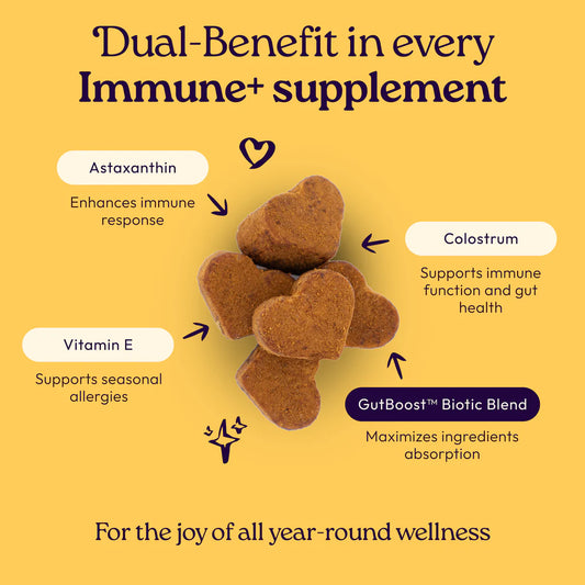 Welljoy Immune + Gutboost Dog Supplement