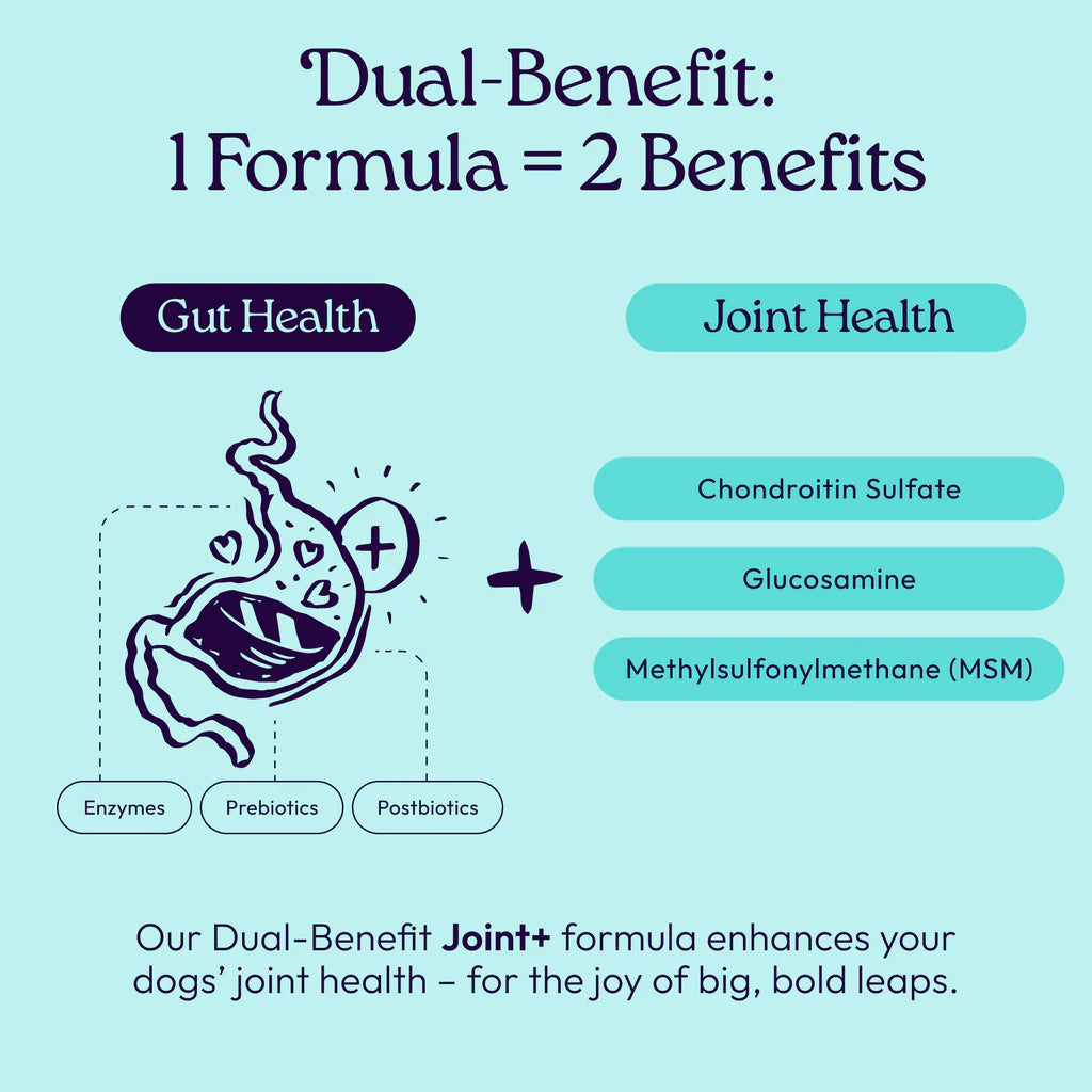 Welljoy Joint + Gutboost Dog Supplement