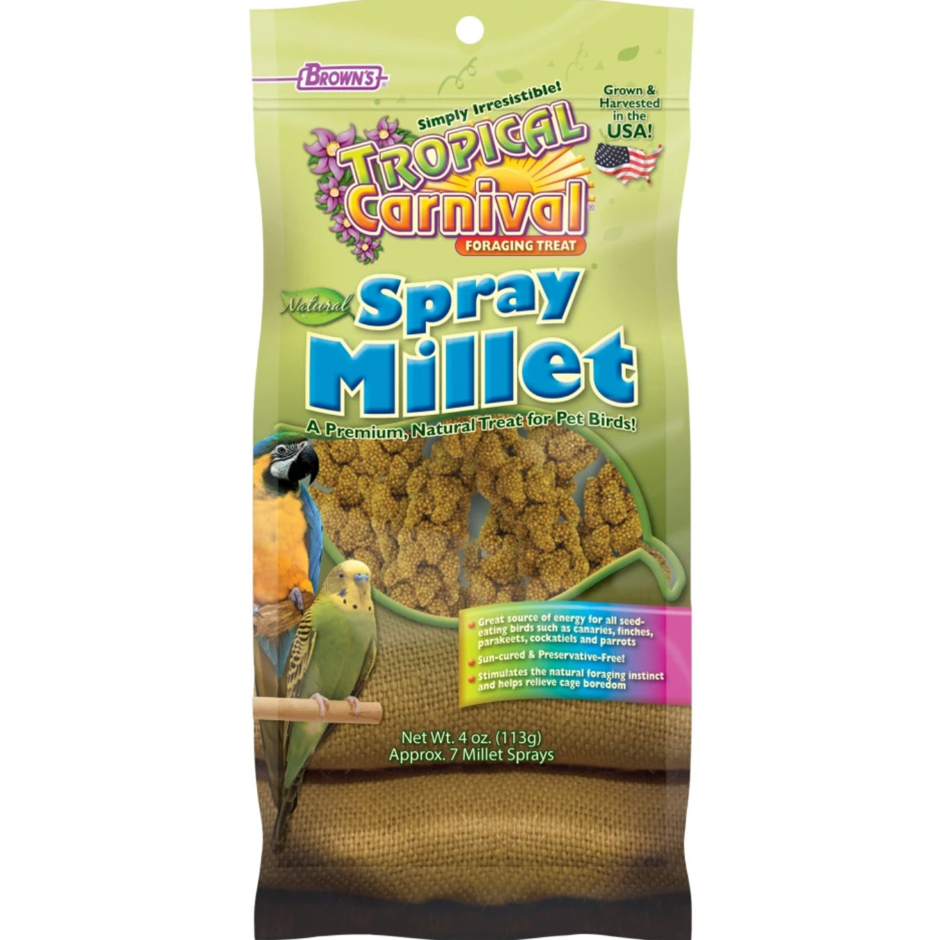 Tropical Carnival Natural Millet Spray