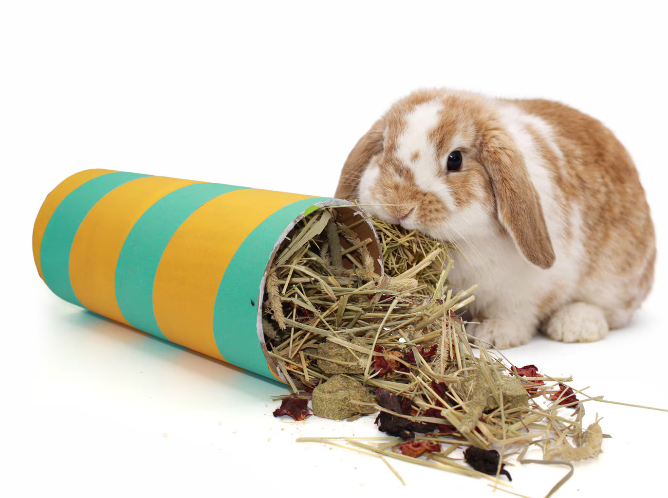Nibbles Meadow Roller Toy