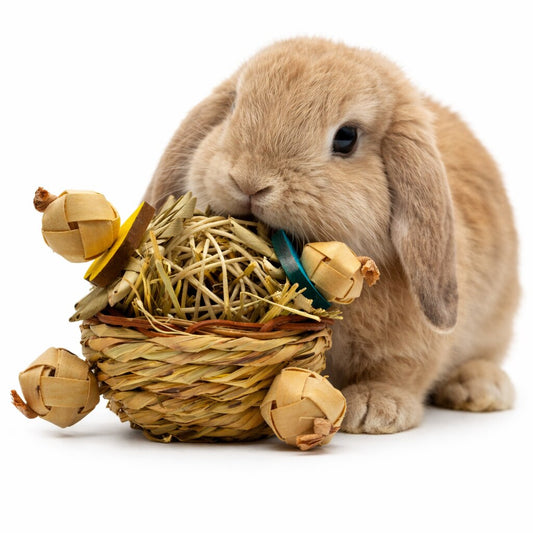 Nibbles Heart Haven Hay Basket