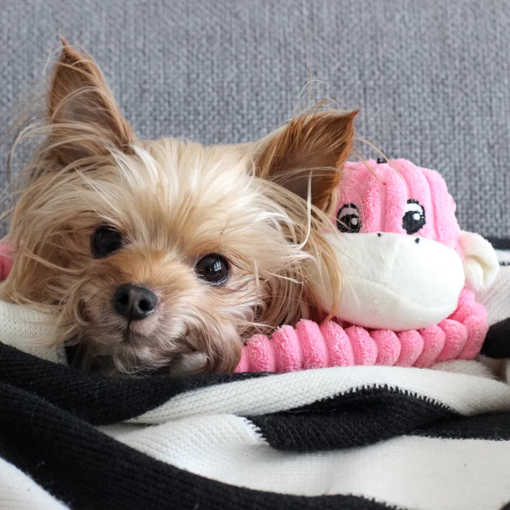 Zippypaws Spencer the Crinkle Monkey