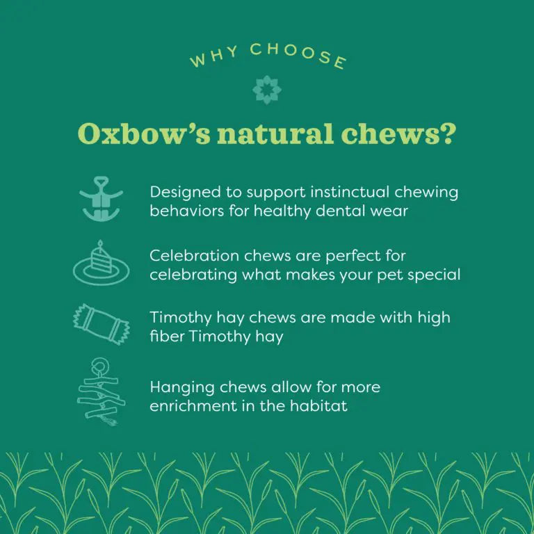 Oxbow Enriched Life Birthday Party Pack