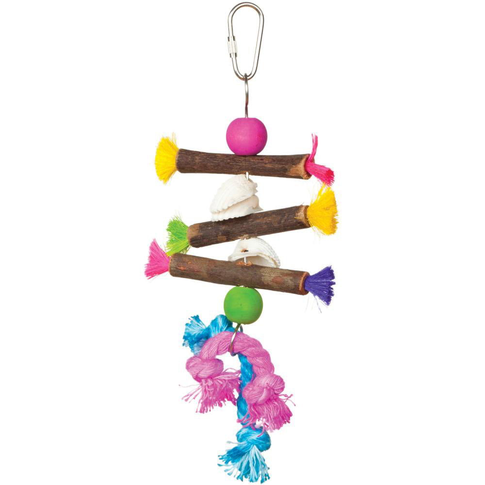 Tropical Teasers Shells and Sticks Bird Toy
