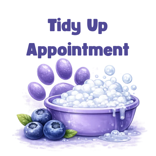 Tidy Up Appointment