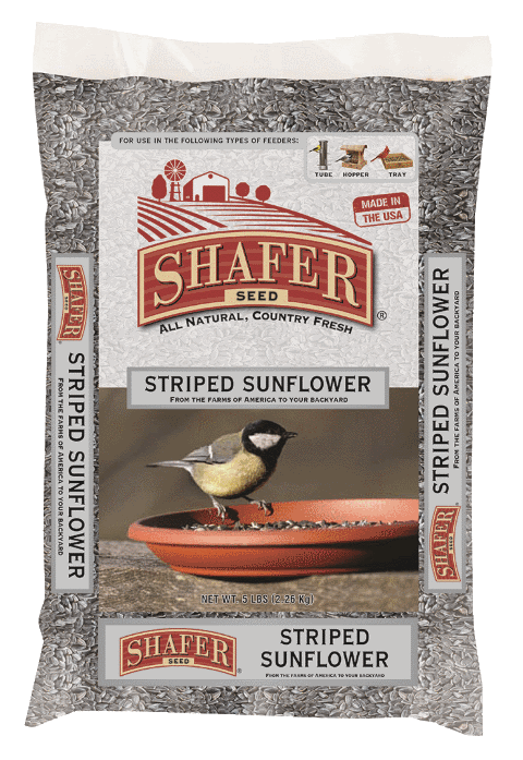 Striped Sunflower Seeds