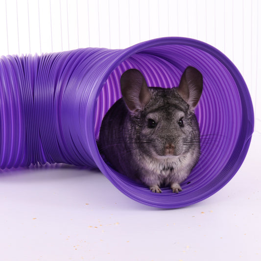Fun Tunnels