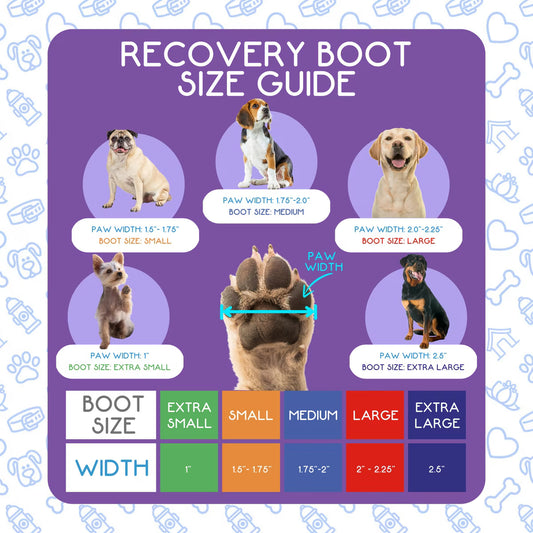 Calm Paws Recovery Boot