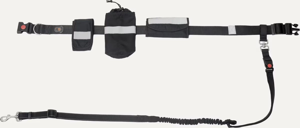 Goo-eez Hands-Free Bungee Leash