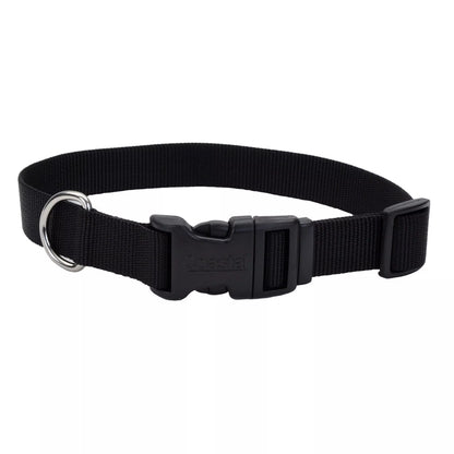 Coastal Adjustable Collar with Plastic Buckle