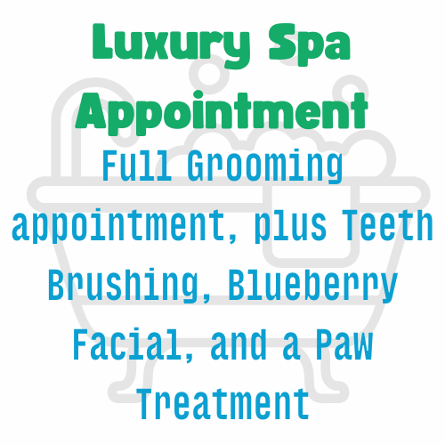 Luxury Spa Grooming Appointment
