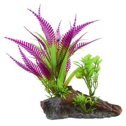 UT Fern on Root