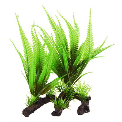UT Fern on Root