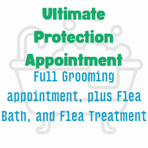 Ultimate Protection Groom Appointment