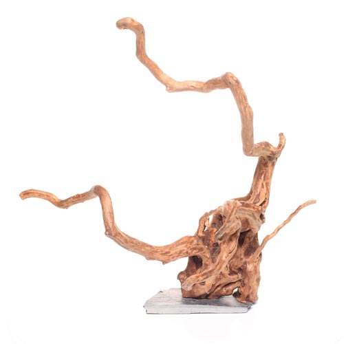 UT Aquarium Wood Root