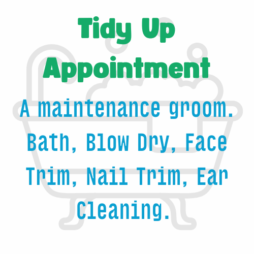 Tidy Up Appointment