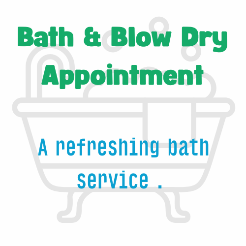Bath & Blow Dry Appointment