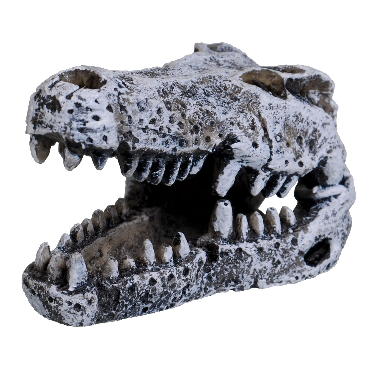 UT Mini Croc Skull