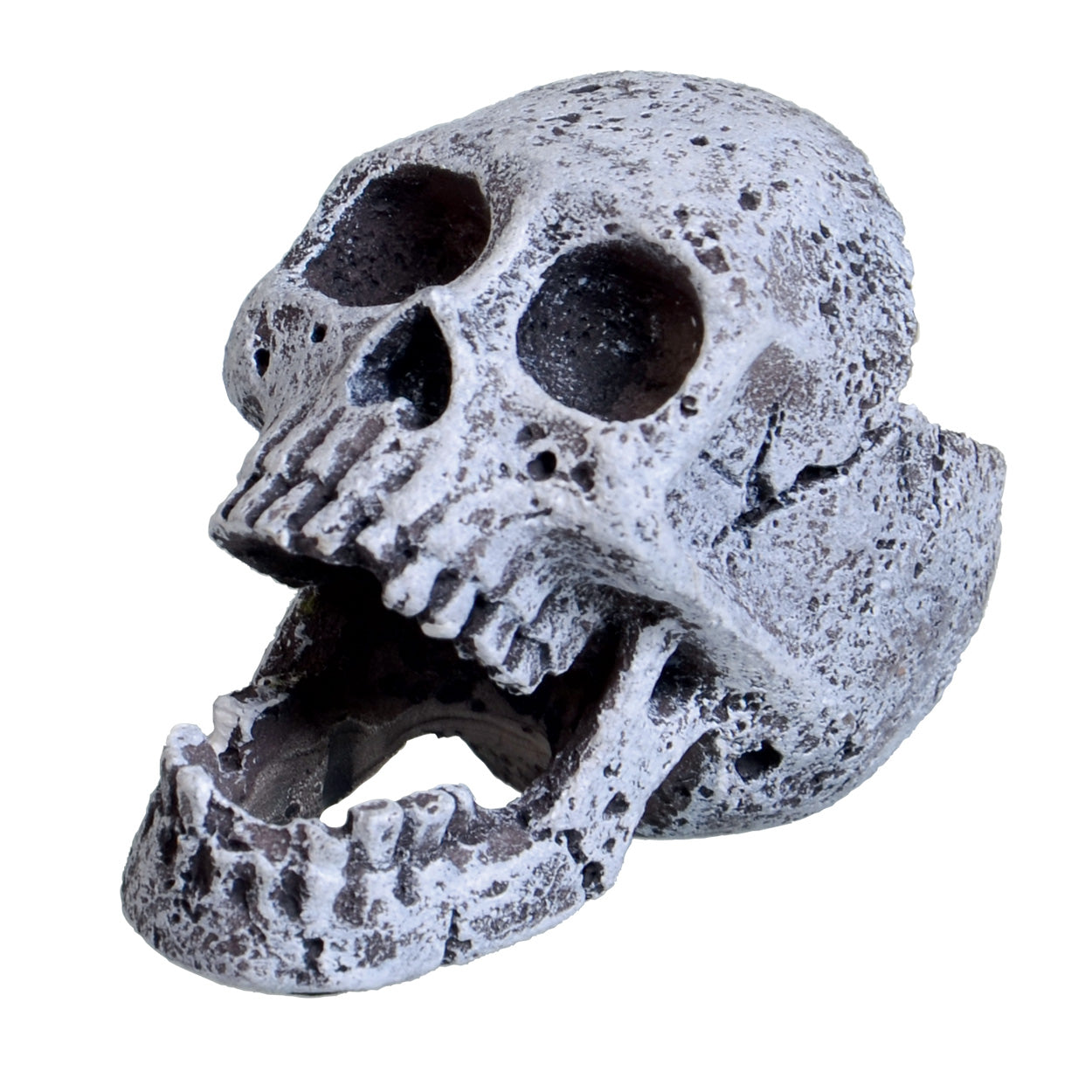 UT Mini Laughing Skull