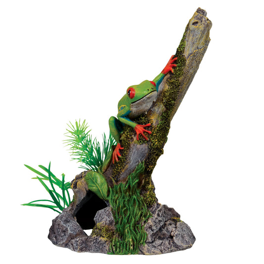 UT Tree Frog on Stump