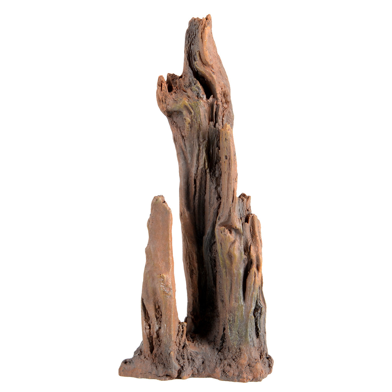 UT Petrified Wood
