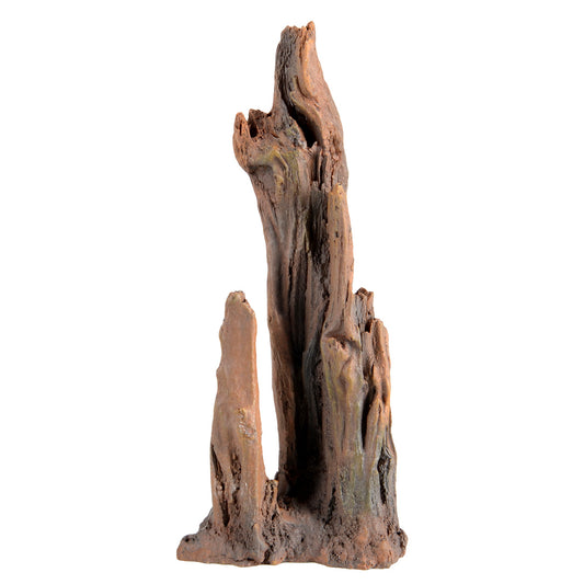 UT Petrified Wood