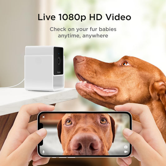 Petcube Indoor WiFi Pet Security Camera