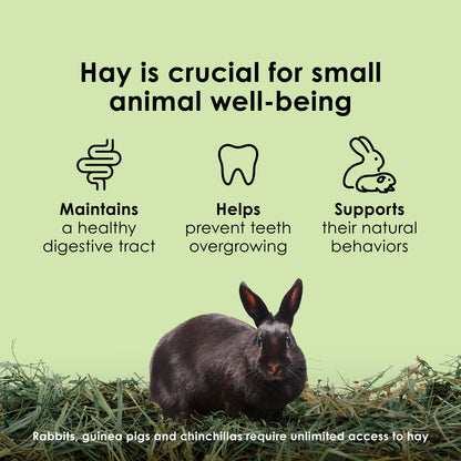Kaytee Natural Timothy Hay