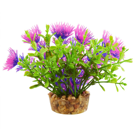 UT Bacomba Purple