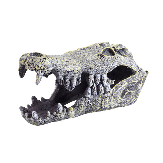 UT Croc Skull