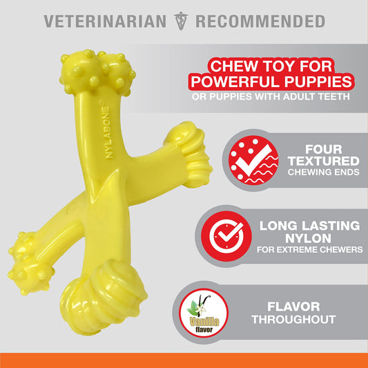 Nylabone Puppy Chew Axis Bone