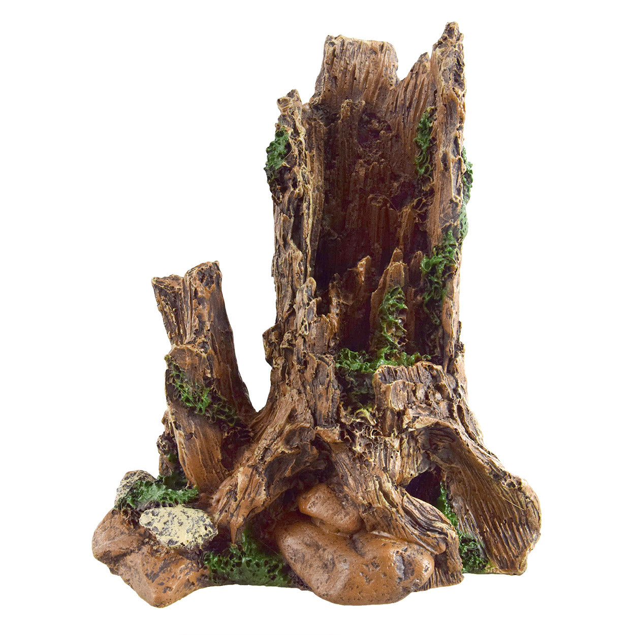 UT Stump with Vines