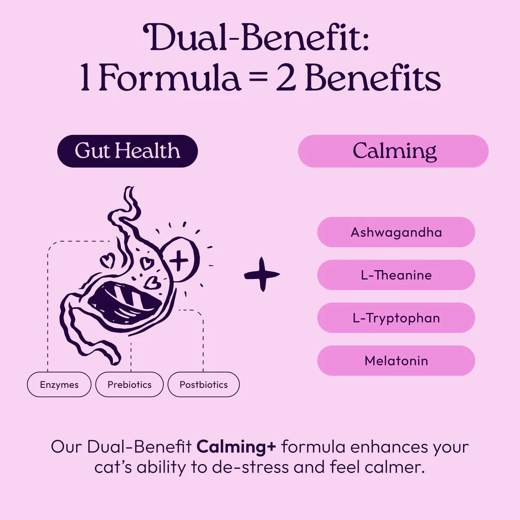 Welljoy Calming + Gutboost Cat Supplement