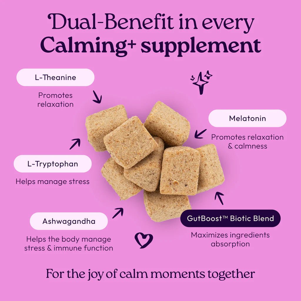 Welljoy Calming + Gutboost Cat Supplement