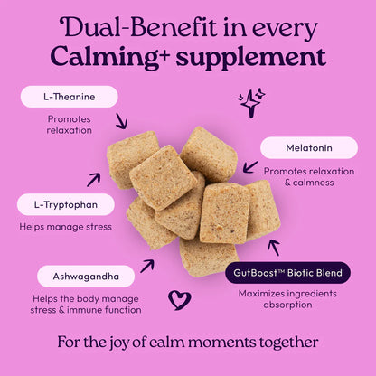 Welljoy Calming + Gutboost Cat Supplement