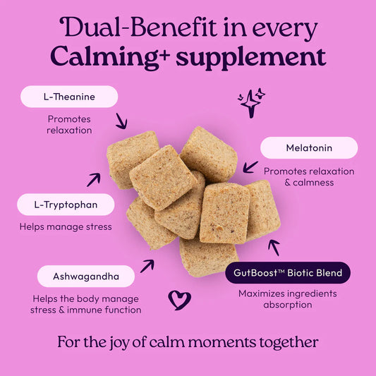 Welljoy Calming + Gutboost Cat Supplement