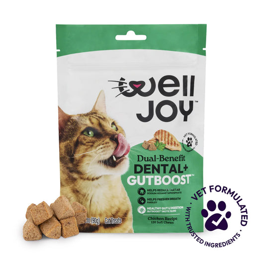 Welljoy Dental + Gutboost Cat Treat
