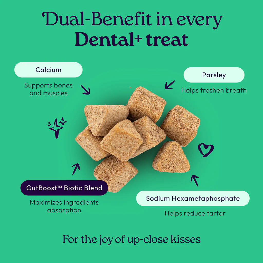 Welljoy Dental + Gutboost Cat Treat