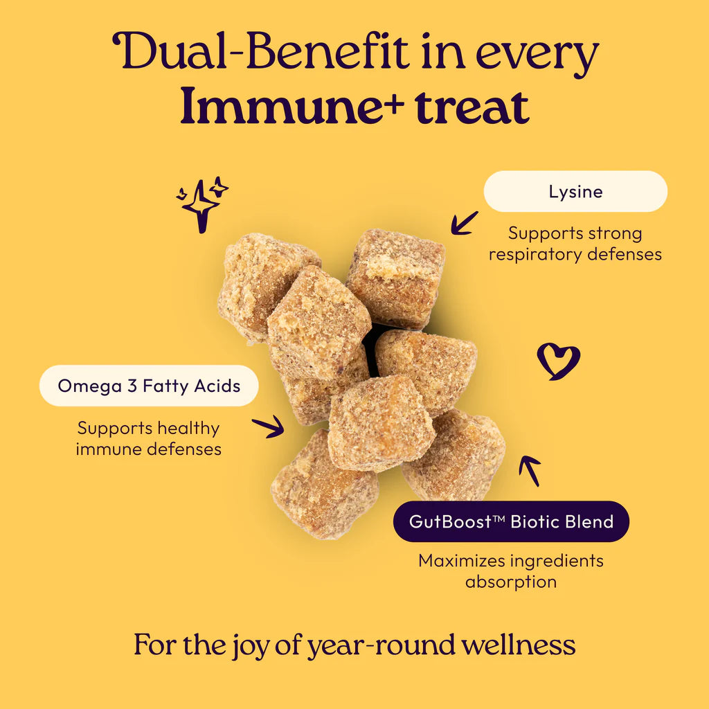 Welljoy Immune + Gutboost Cat Treat